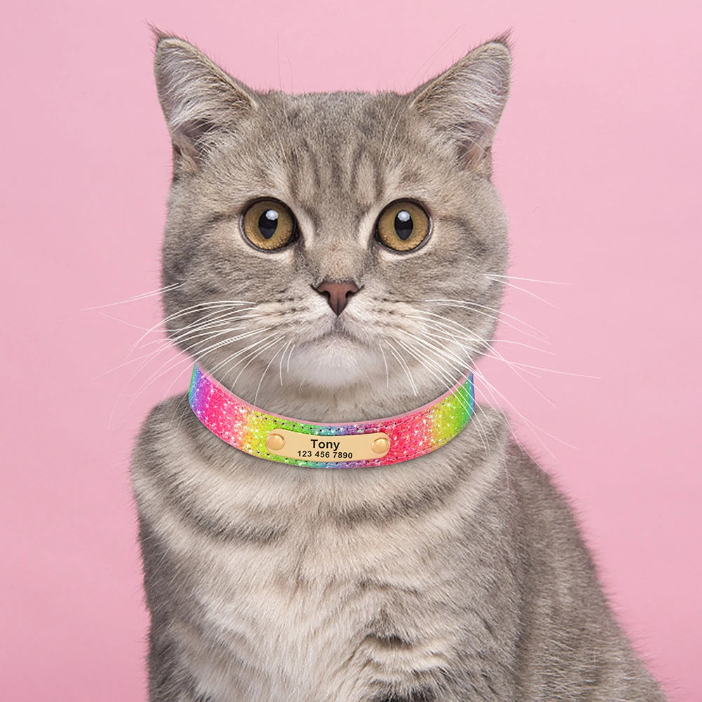 Personalized Cat Collar Adjustable