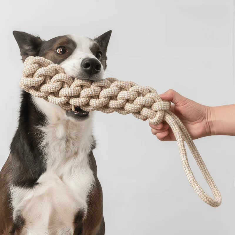 3 Pack Dog Rope Knot Toys for Small Medium Large Dogs, Interactive Chew Toys for Puppy Teething, Dental Cleaning & Training