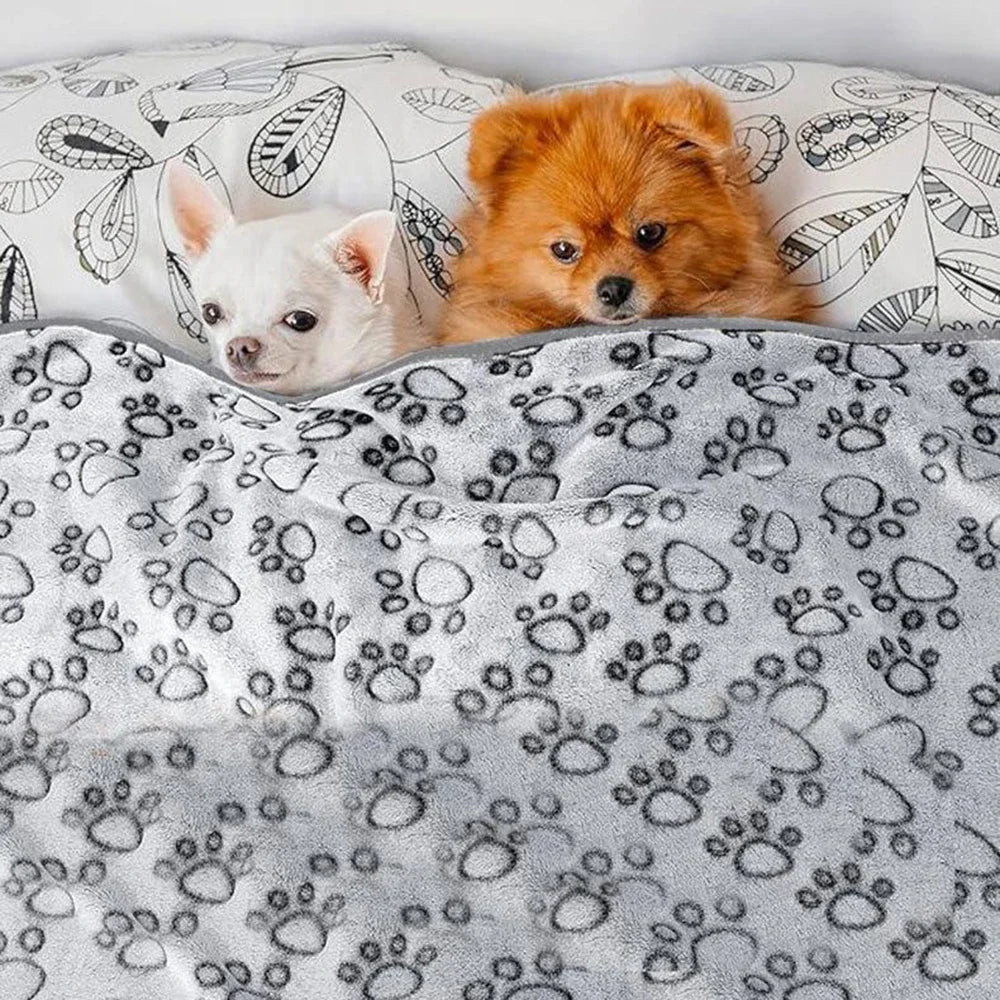 Soft Blanket Washable, Cat Blanket for Indoor Large Medium Small Dog Gifts