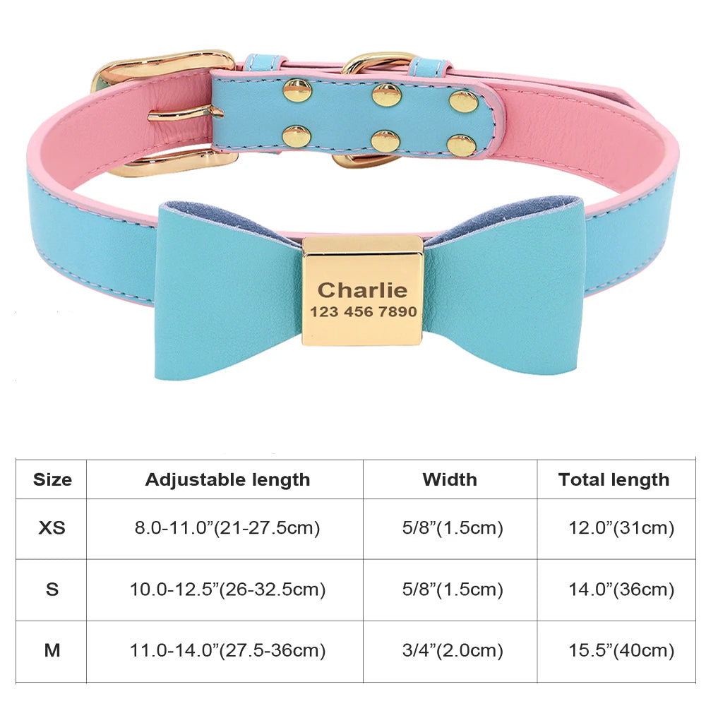 Personalized Cat Collar Adjustable
