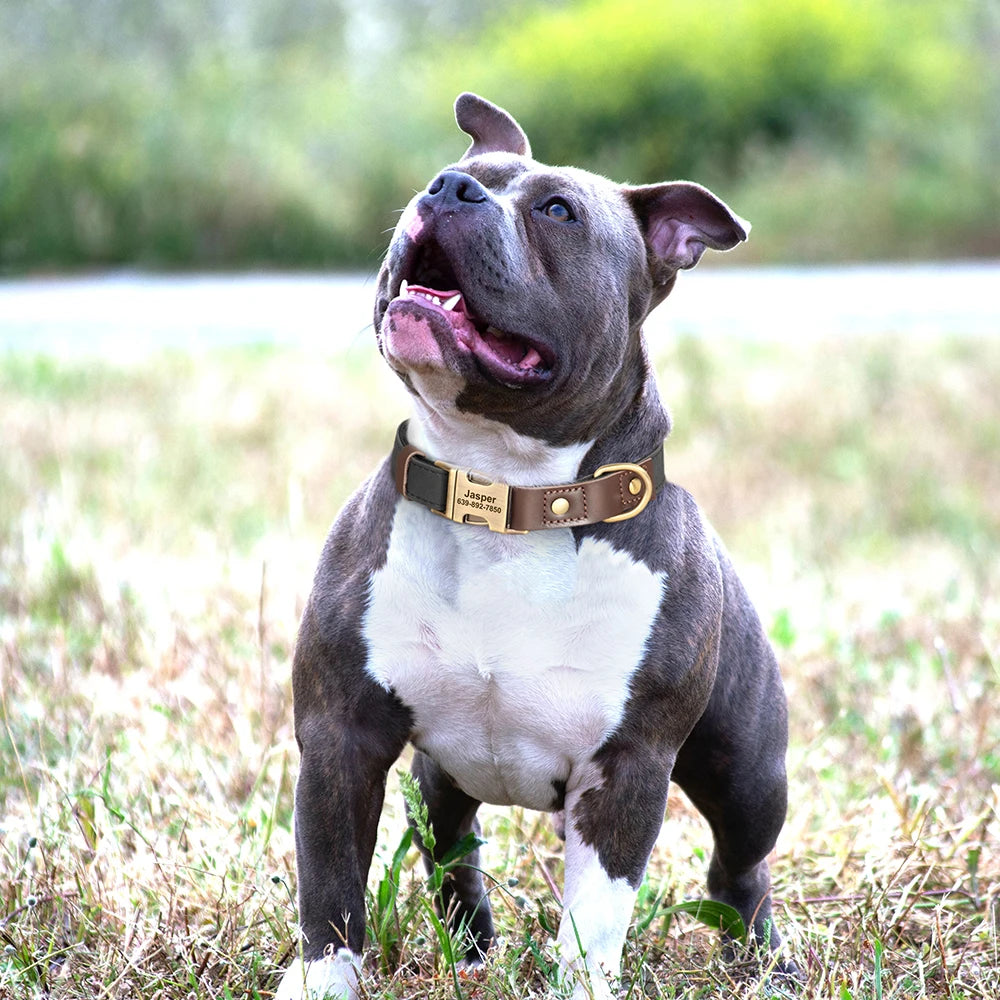Custom PU Leather Dog Collar Engraved Adjustable Pet Buckle ID Necklace Durable for Small Medium Large Dogs
