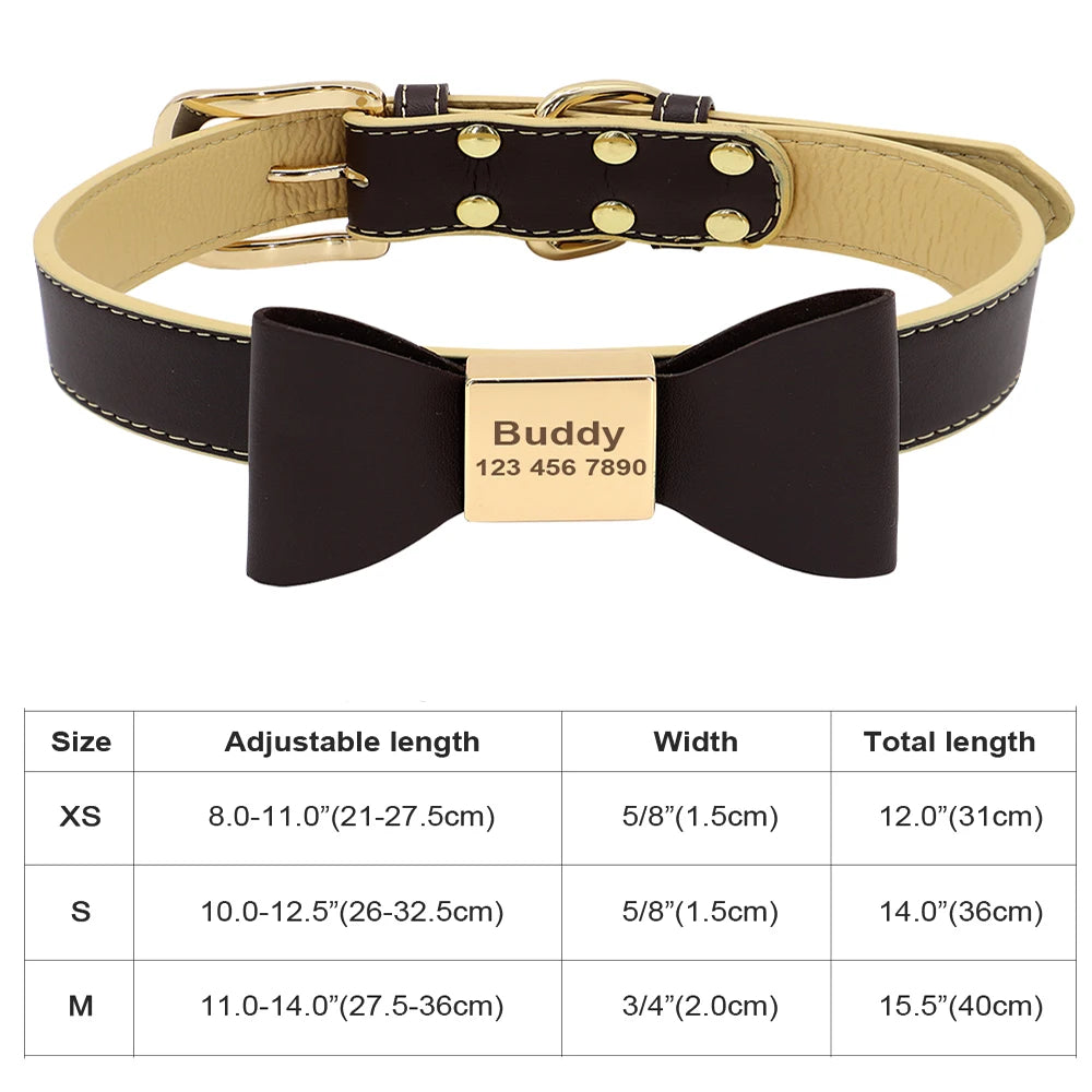 Personalized Cat Collar Adjustable