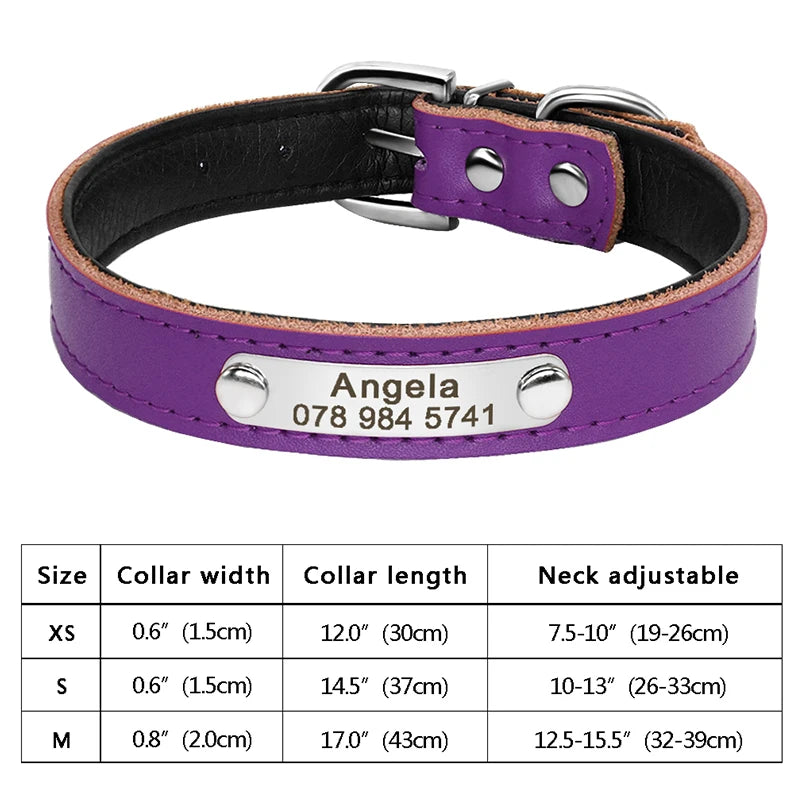 Personalized Cat Collar Adjustable