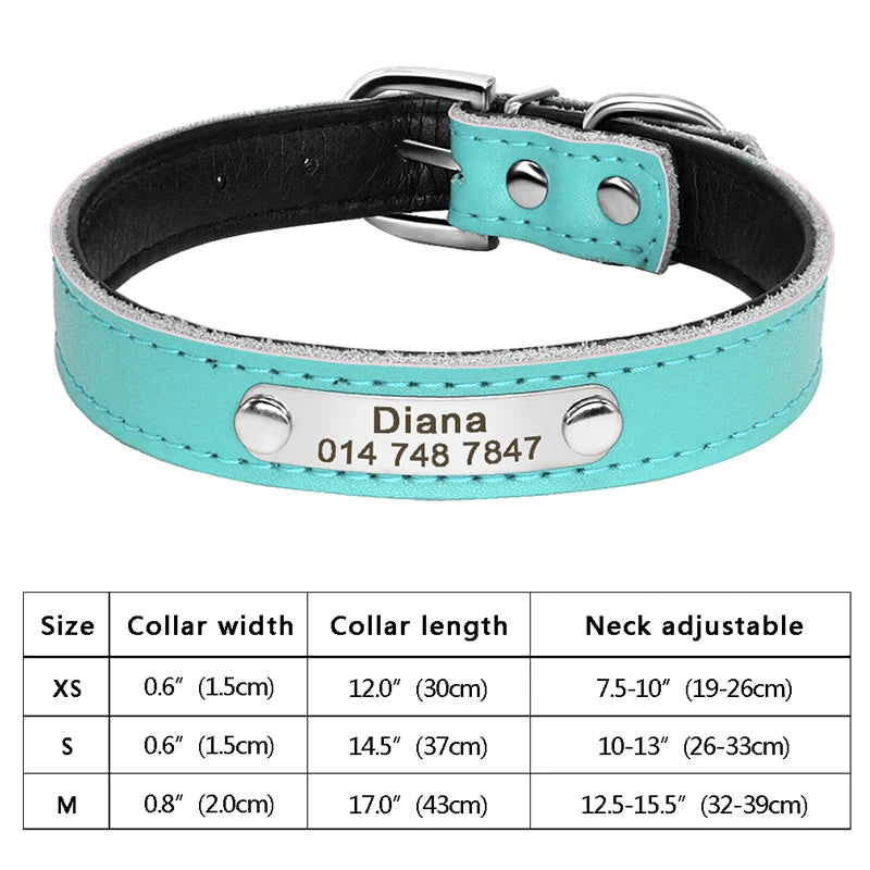 Personalized Cat Collar Adjustable