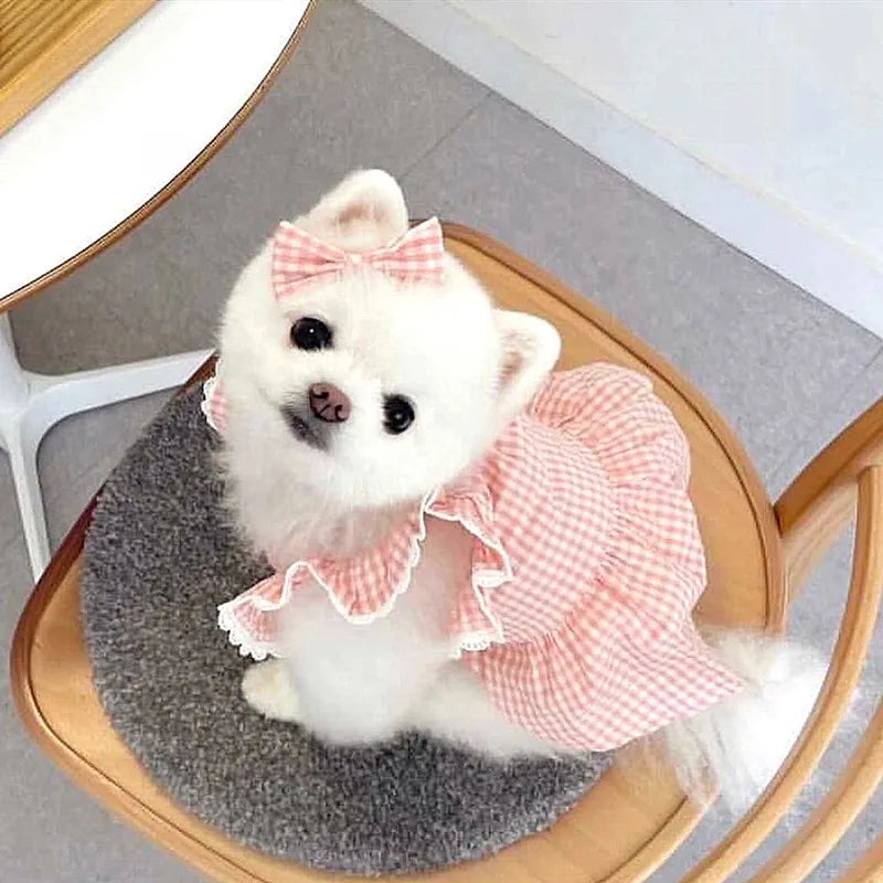 Spring/summer new pet dog dress pink plaid lace lace soft and comfortable pet clothes suitable for cats and dogs