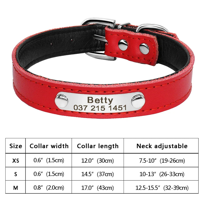 Personalized Cat Collar Adjustable