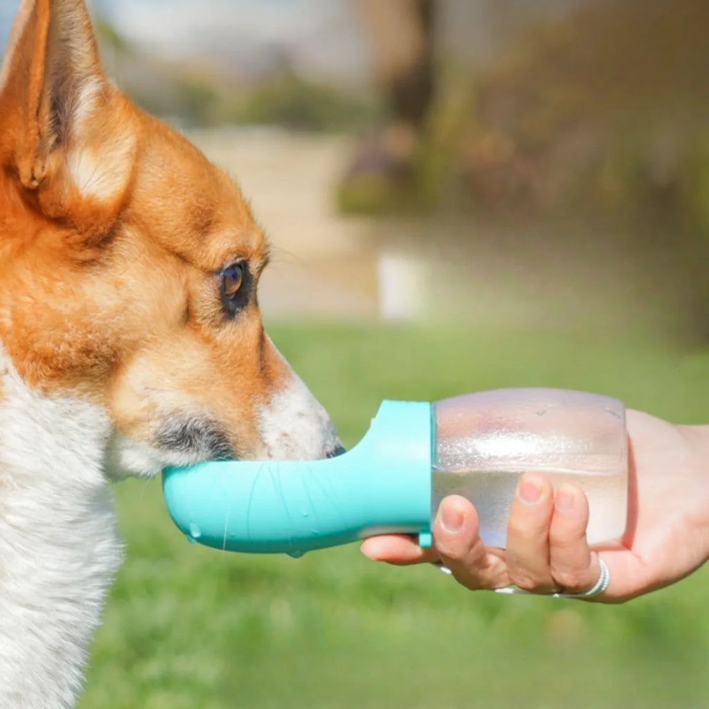 Portable Outdoor Pet Water Bottle for Dogs & Cats, Leak-Proof Travel Water Cup