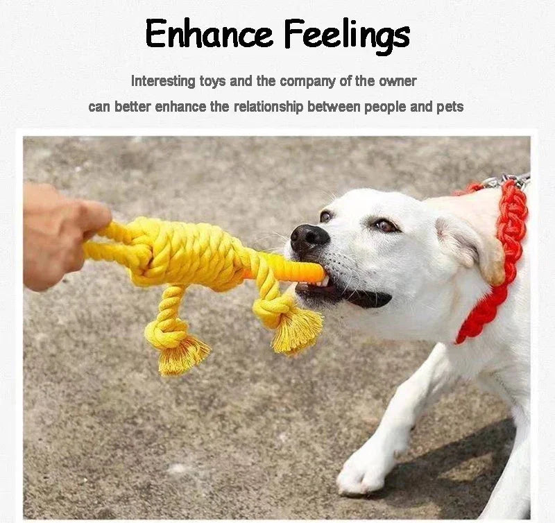1pc Dog Toy Braided Resistant Pet Supplies