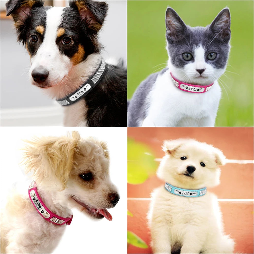 Personalized Cat Collar Adjustable