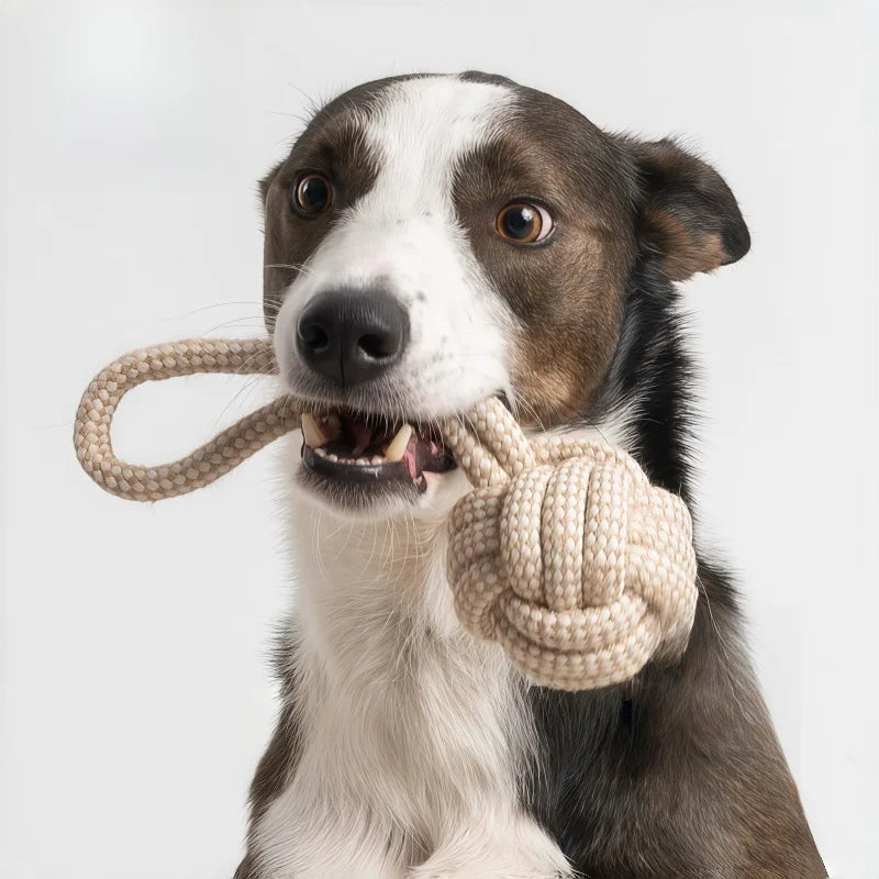 3 Pack Dog Rope Knot Toys for Small Medium Large Dogs, Interactive Chew Toys for Puppy Teething, Dental Cleaning & Training