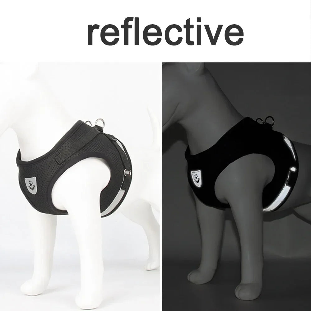 Cat Harness Leash Set Adjustable Reflective