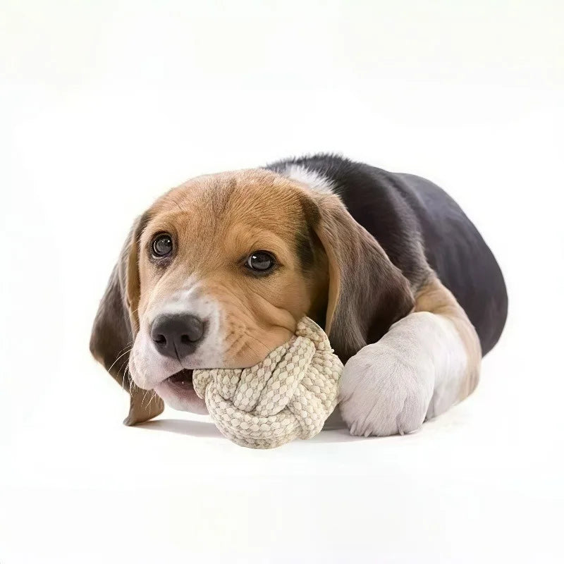 3 Pack Dog Rope Knot Toys for Small Medium Large Dogs, Interactive Chew Toys for Puppy Teething, Dental Cleaning & Training