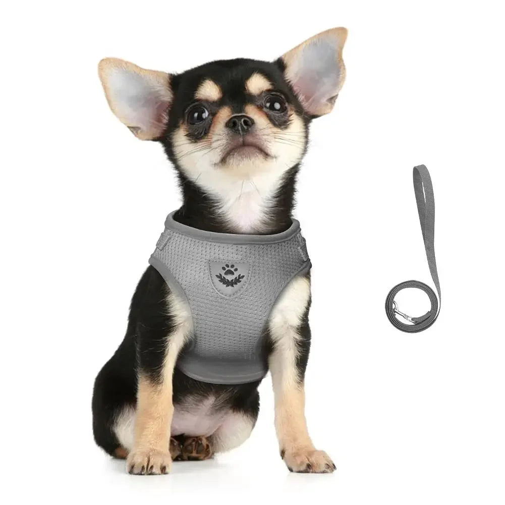 Cat Harness Leash Set Adjustable Reflective