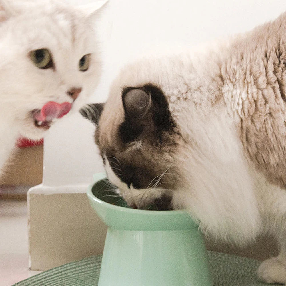 Tilted Food Bowl Elevated Raised Food Bowl Non Slip