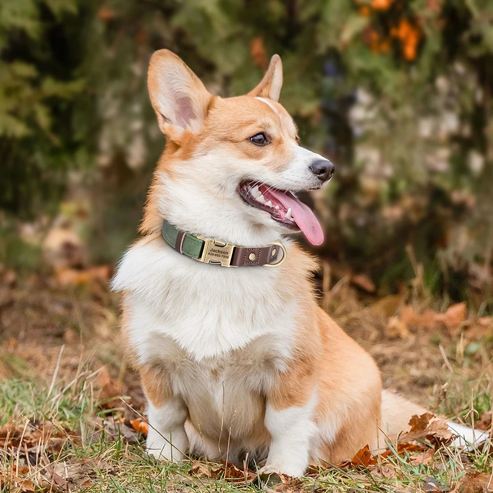 Custom PU Leather Dog Collar Engraved Adjustable Pet Buckle ID Necklace Durable for Small Medium Large Dogs