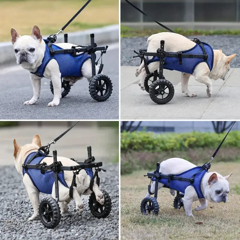Slim Design Small Dog Wheelchair; Rehabilitation Equipment for Hind Limb Impaired Pets