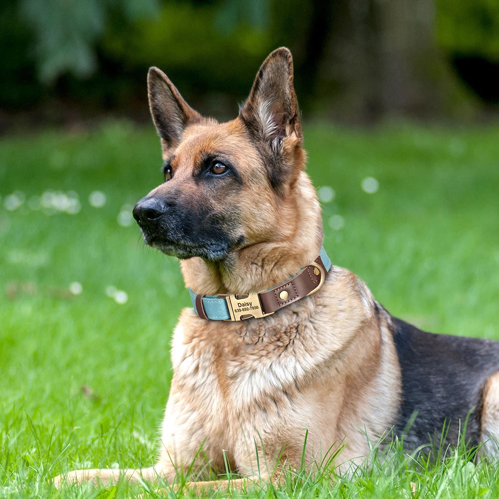 Custom PU Leather Dog Collar Engraved Adjustable Pet Buckle ID Necklace Durable for Small Medium Large Dogs