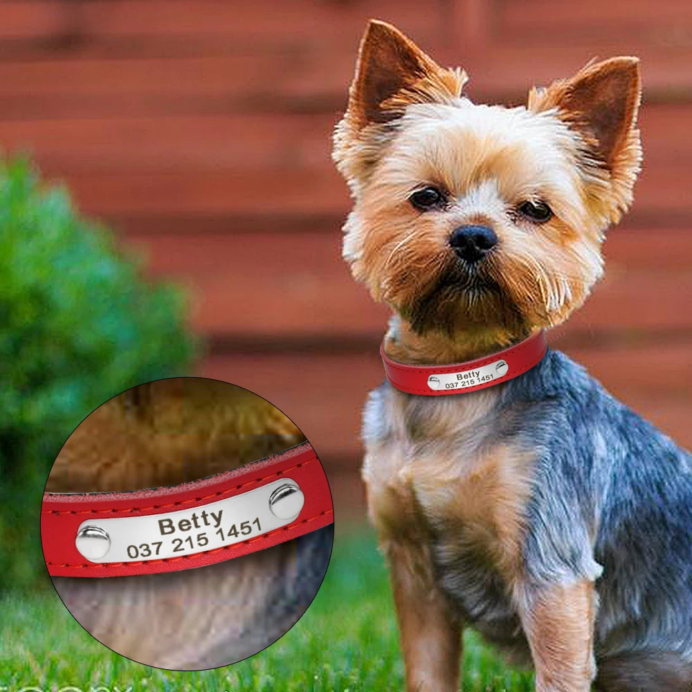 Personalized Cat Collar Adjustable