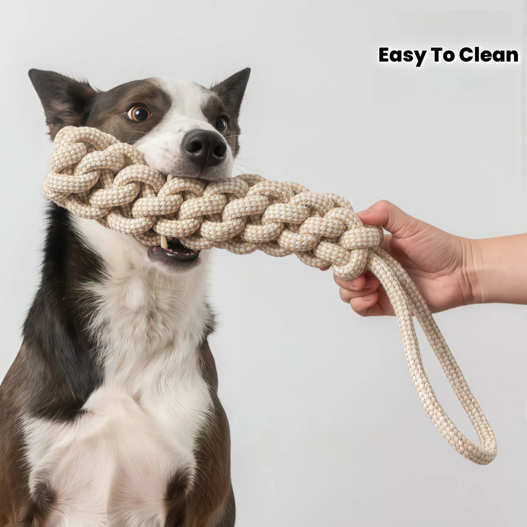 3 Pack Dog Rope Knot Toys for Small Medium Large Dogs, Interactive Chew Toys for Puppy Teething, Dental Cleaning & Training