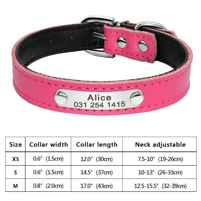 Personalized Cat Collar Adjustable