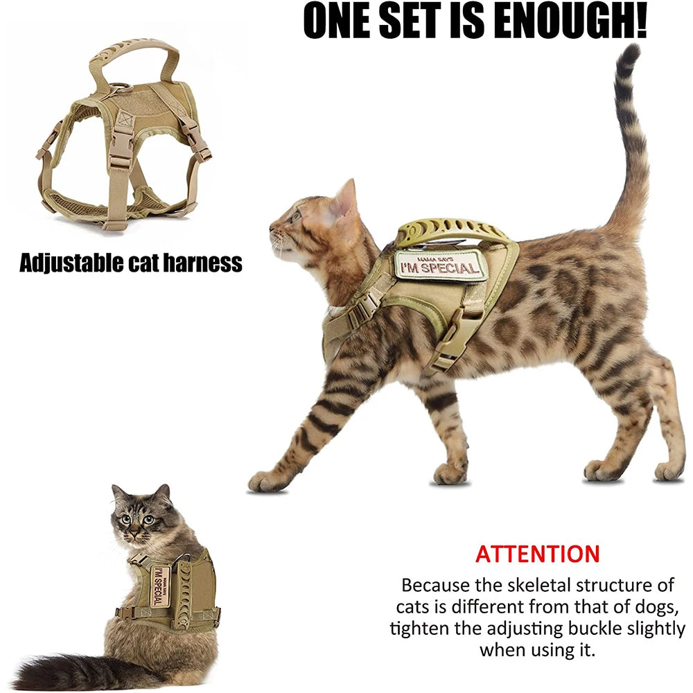 Tactical Cat Harness For Walking