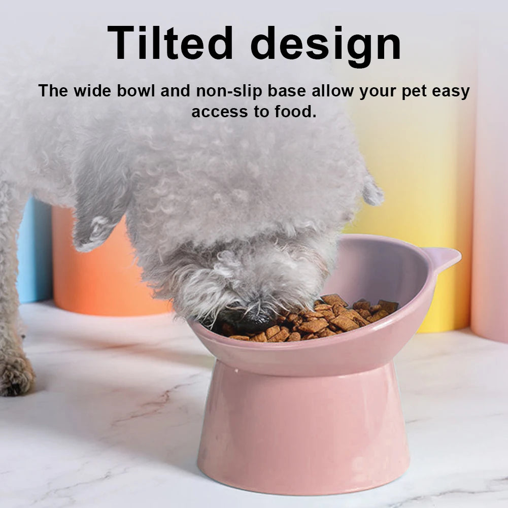 Tilted Food Bowl Elevated Raised Food Bowl Non Slip