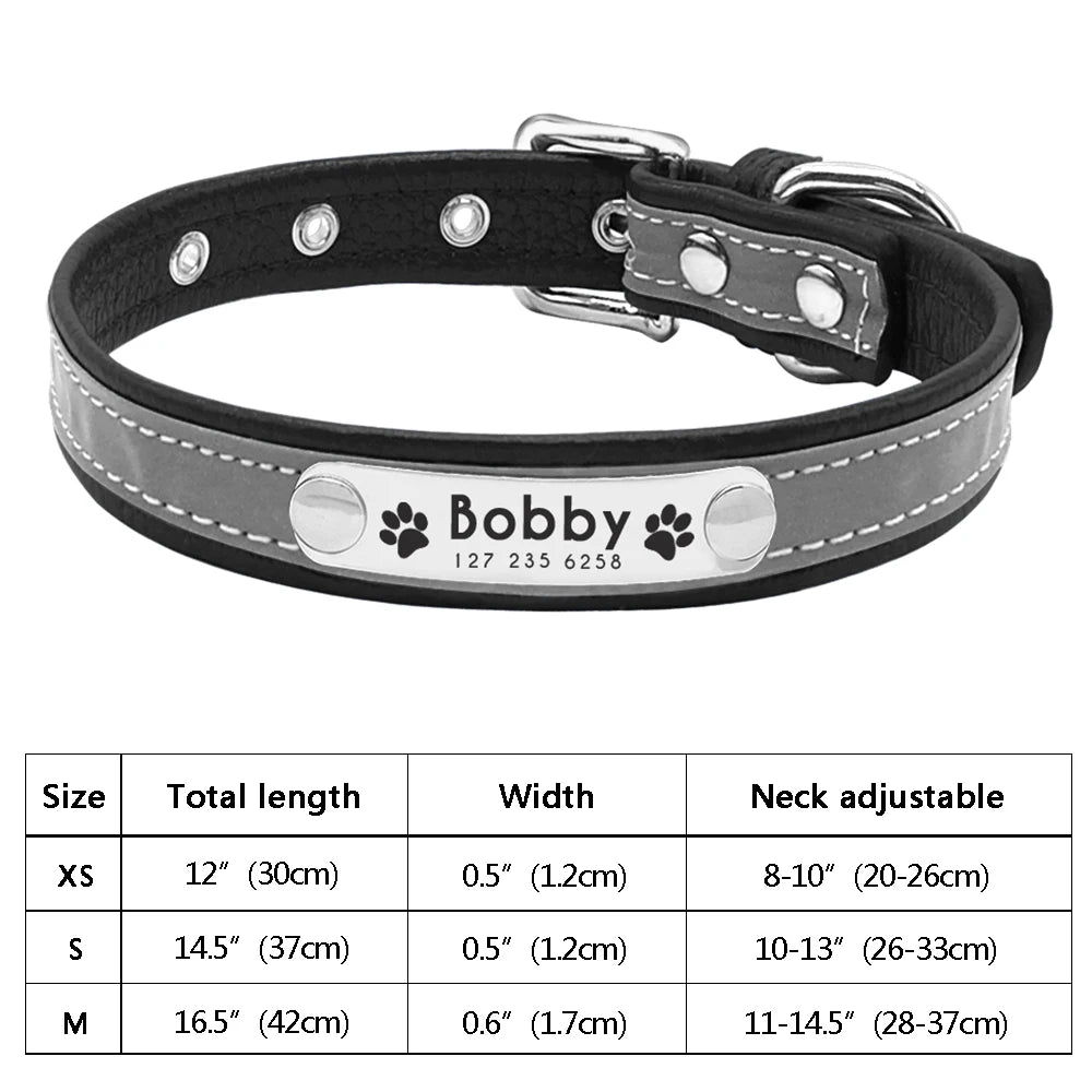 Personalized Cat Collar Adjustable
