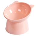 Tilted Food Bowl Elevated Raised Food Bowl Non Slip