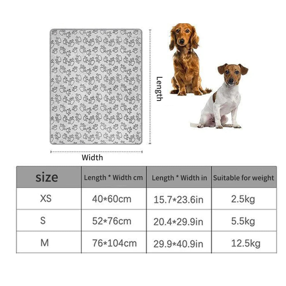 Soft Blanket Washable, Cat Blanket for Indoor Large Medium Small Dog Gifts