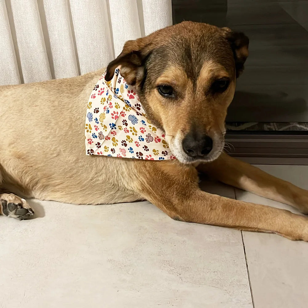 60Pcs Bulk 100% Cotton Dog cat Bandanas: Best Selling Spring Bibs