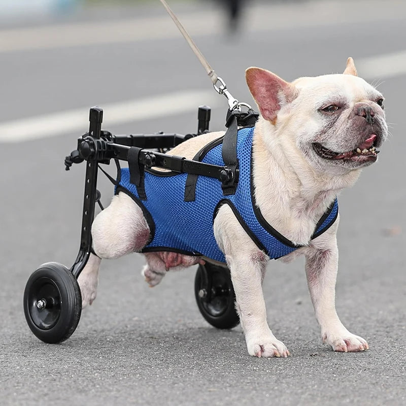 Slim Design Small Dog Wheelchair; Rehabilitation Equipment for Hind Limb Impaired Pets