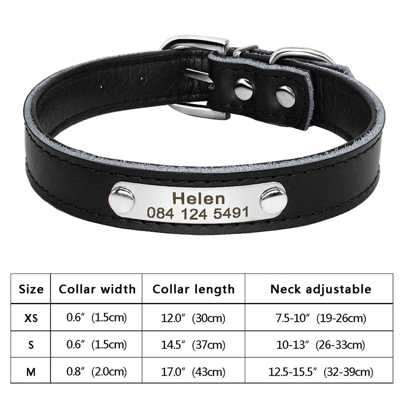 Personalized Cat Collar Adjustable