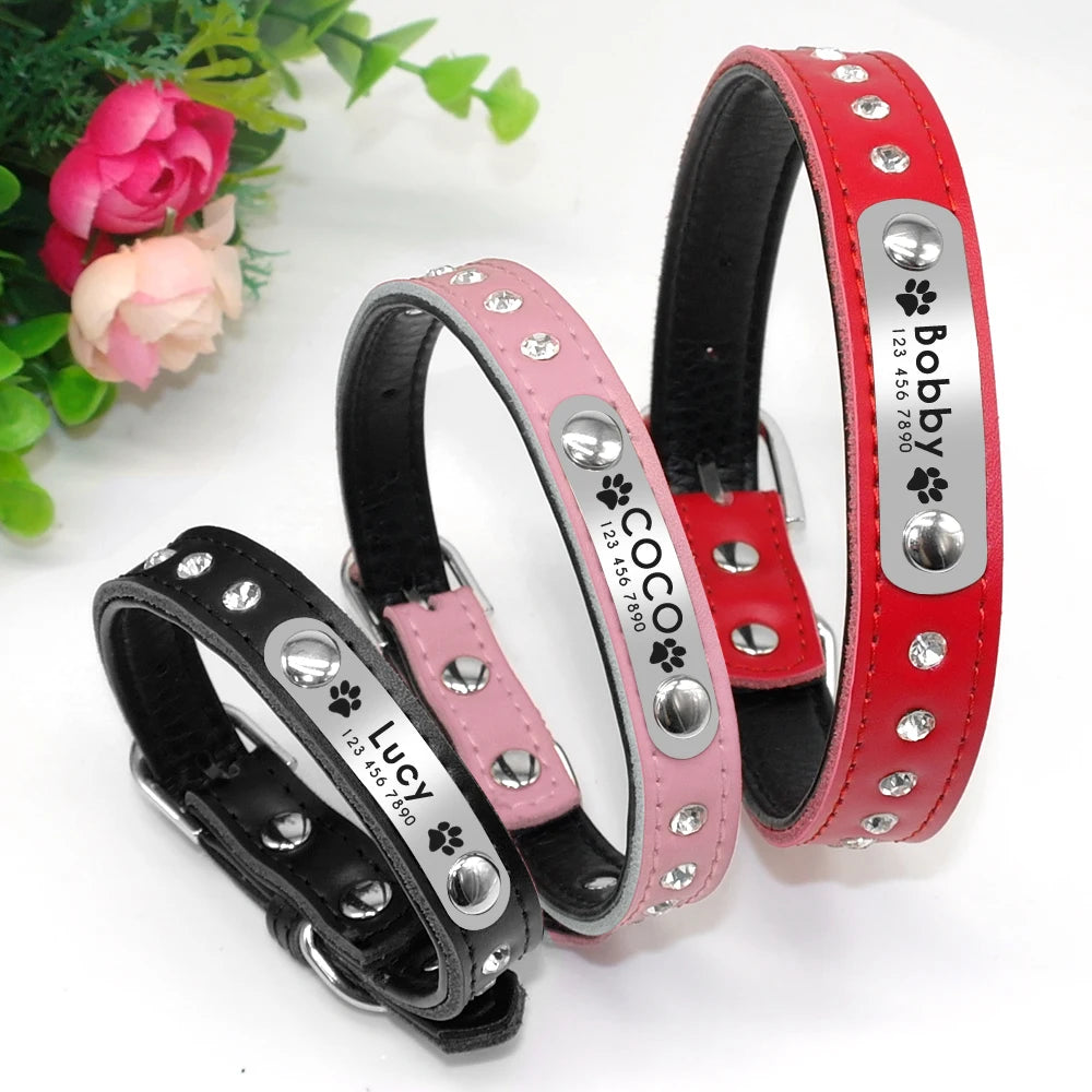 Personalized Cat Collar Adjustable