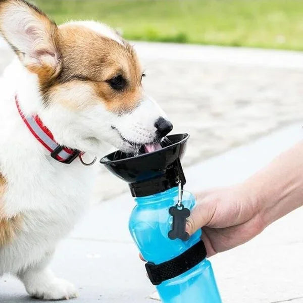 500ml Outdoor Portable Pet Dog Water Bottle Extrusion Large Dog Travel ...