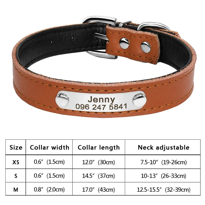 Personalized Cat Collar Adjustable