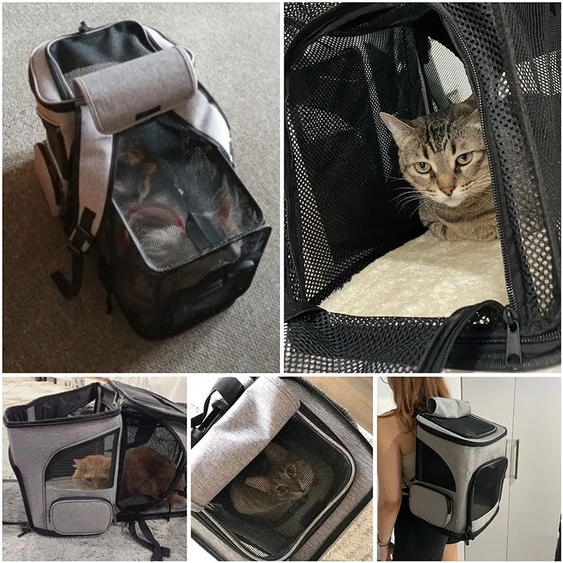 Pet Carrier Backpack Foldable Large Capacity Creative for Cats Dogs