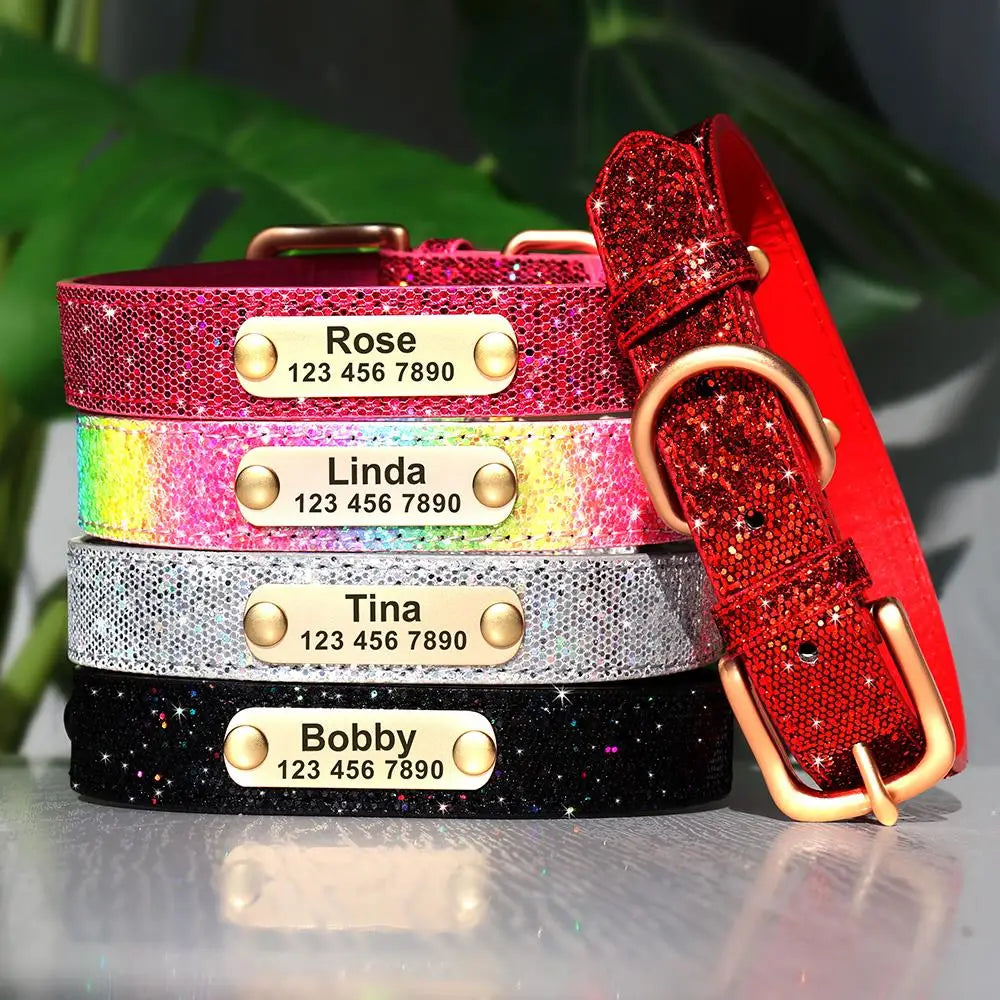 Personalized Cat Collar Adjustable